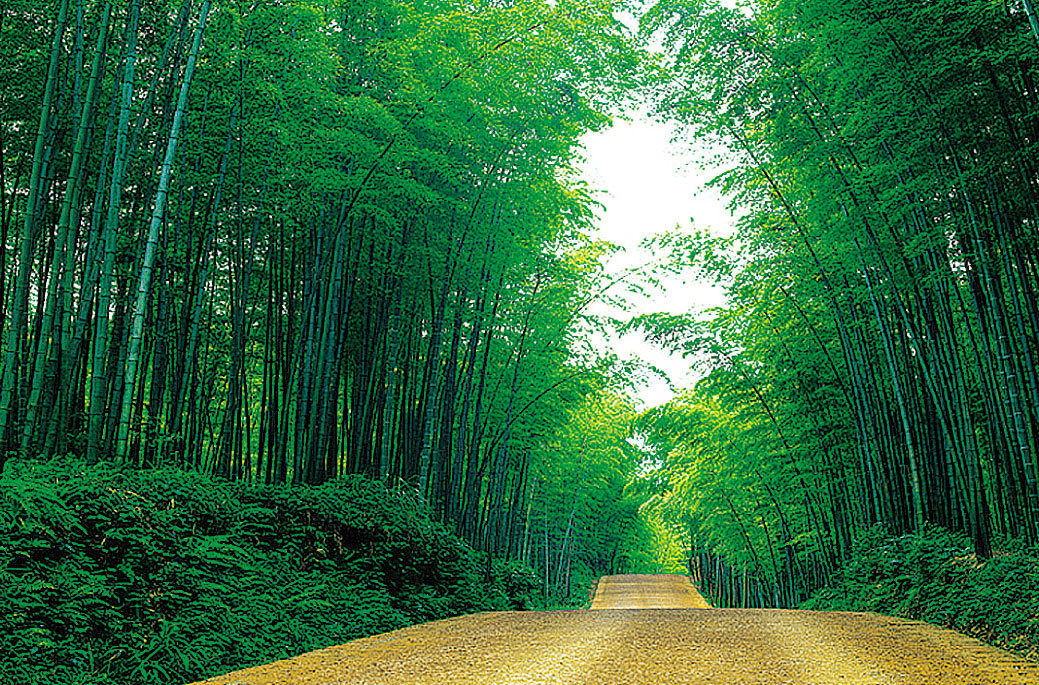 简约现代竹林风景海报挂画无框山水家居沙发背景墙贴画年画