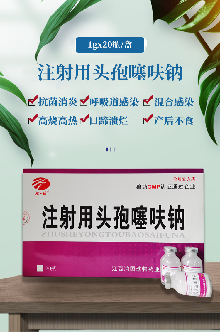 兽用注射用头孢噻呋钠兽药猪牛羊用退烧消炎母猪产前产后退烧