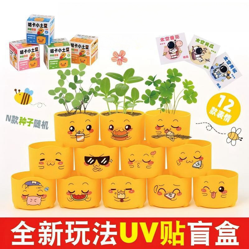 children‘s planting small pot plant blind box expression doll series flower seed plant growth observation seed student gift