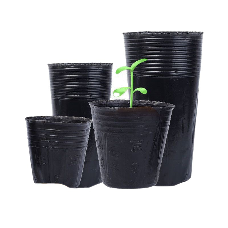 育苗杯营养杯塑料加厚一次性花盆育苗盆黑色育苗钵装土营养钵