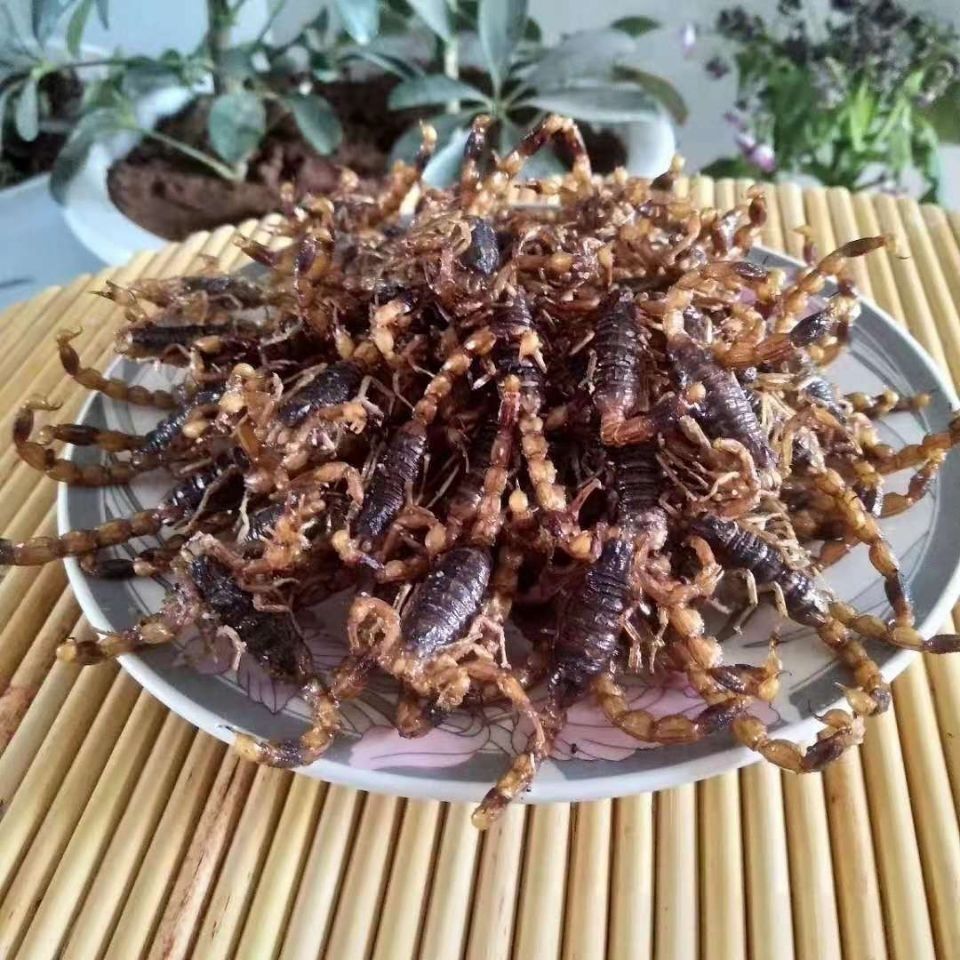 山东沂蒙特产油炸蝎子十足全蝎活体现炸现卖下酒小吃即食美味包邮