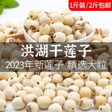 2023年莲子干货去芯500g大粒粉糯级去壳磨皮白莲湖北批发包邮