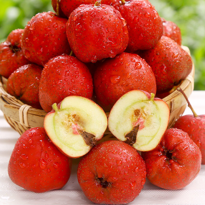 新鲜山楂果大山楂现摘现发红果山楂干糖葫芦多规格