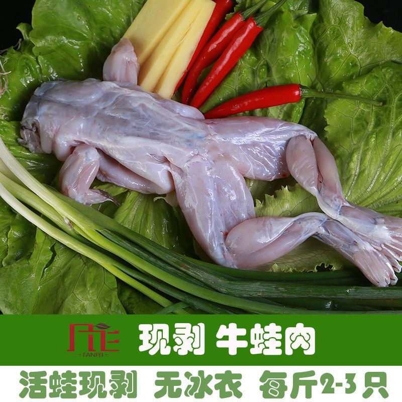68成交2克牛蛙鲜活新鲜特大田鸡青蛙肉半成品腿蛙肉批冷冻串商用石蛙