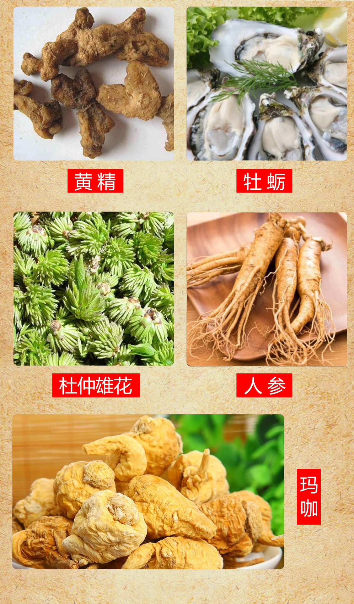 男士好货 鹿鞭人参玛咖男性牡蛎肽 杜仲雄花黄精片生产许可证编号sc