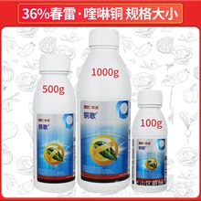 中达铜歌36%春雷喹啉铜春雷霉素黄瓜细菌性角斑病杀菌剂100克正品