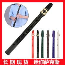 迷你萨克斯 便携式口袋萨克斯 塑料竖笛萨克斯风Pocket Saxphone