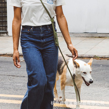 免提狗狗牵引绳可系腰中小型犬幼犬遛狗绳狗链子胸背带项圈可胸挂