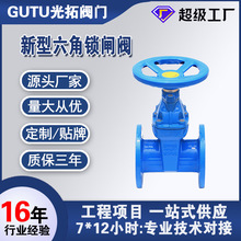 厂家直销 新型锁闭闸阀 软密封六角锁闭闸阀