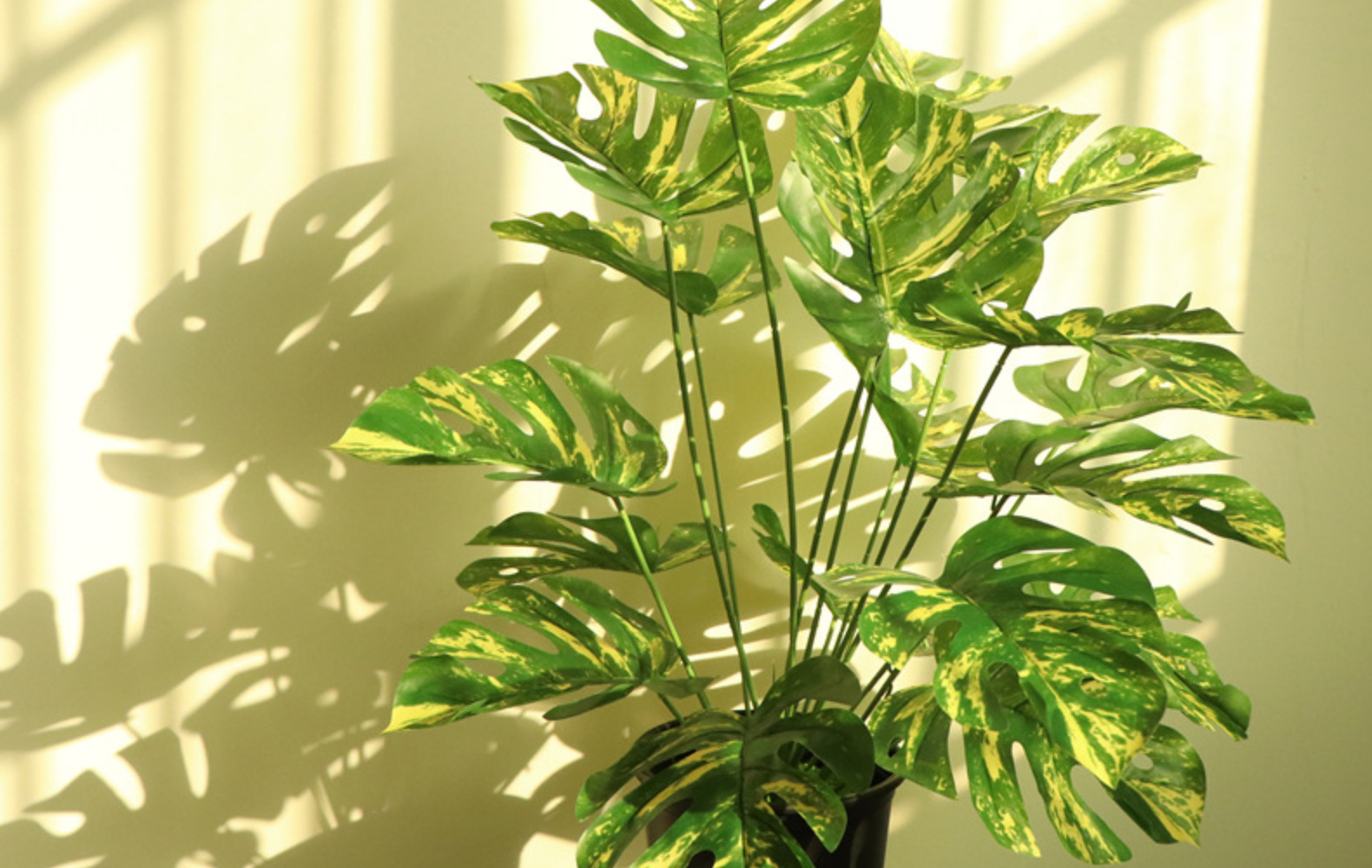 仿真绿植18头龟背叶龟背竹家居客厅酒店办公室装饰大片叶绿化盆景