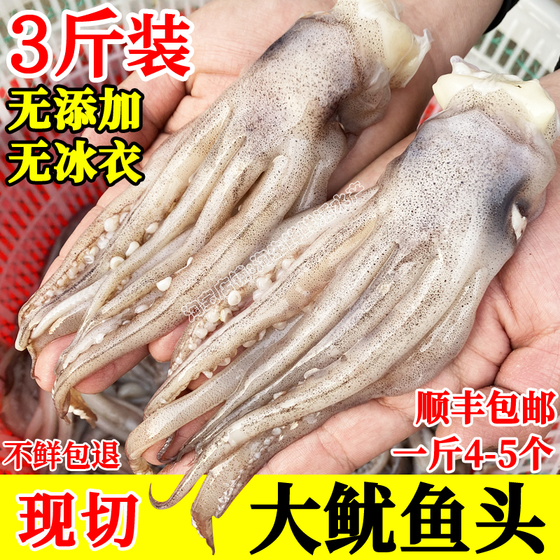2斤起新鲜鱿鱼头现切鱿鱼爪须海鲜生鲜水产冷冻无冰