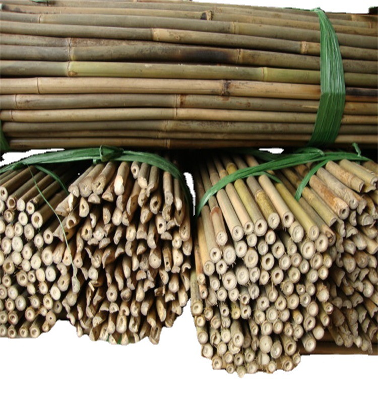 厂家供应竹竿 篱笆竹竿 茶干竹 苦竹 各类竹竿批发
