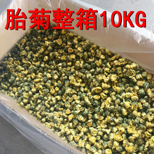 厂家直销正品菊花茶胎菊王500g桐乡杭白菊250g菊花菊花米可代发