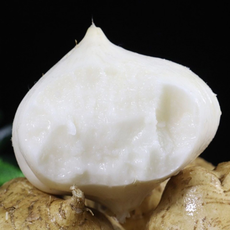 现挖凉薯新鲜白地瓜地萝卜四川农家特产蔬菜新鲜水果白薯番薯土瓜