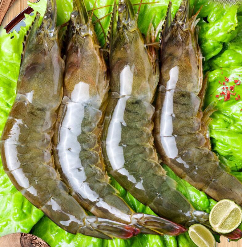 29成交4斤新鲜大虾鲜活基围虾特大青虾白虾冷冻整箱虾类海鲜水产包邮