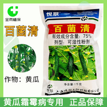 上海悦联75%百菌清可湿性粉剂黄瓜霜霉病专用杀菌剂农药现货包邮