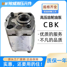 微型cbk齿轮泵小型举升机液压泵总成CBK-1.6/2.1油泵动力单元配件