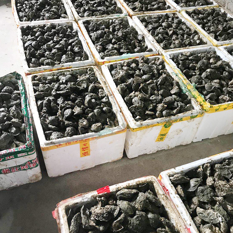 深圳湛江小生蚝大鲜活水产海鲜新鲜特带壳烧烤一箱整箱100斤批发