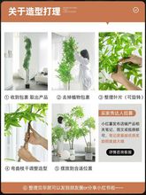 绿植南天竹假植物盆栽仿生绿植客厅装饰摆件高端轻奢花