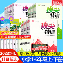 2023新版 小学拔尖特训语文数学英语四年级下册上册 人教版北师一