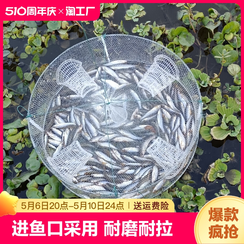 捕工具抓小鱼网捞龙虾捕虾笼渔网儿童捉黄鳝泥鳅网笼神器捕鱼折叠