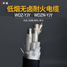 天和国标低烟无卤铜芯WDZ-YJY3 4 5芯16 25 35 50 70平方工程电缆