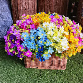 草 小盆景-草 小盆景批发,促销价格,产地货源 - 阿里巴巴