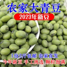 2023年新大青豆2斤包邮干青豆农家自种生青豆青皮绿心大黄豆毛豆