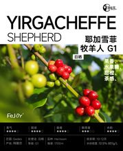 进口新季咖啡生豆埃塞俄比亚耶加雪菲牧羊人G1日晒 花香果汁感1kg