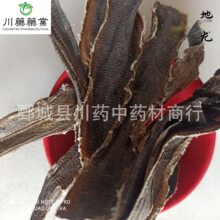 地龙500g广地龙  蚯蚓干 中药材批发供应【川药中药材】各种规格