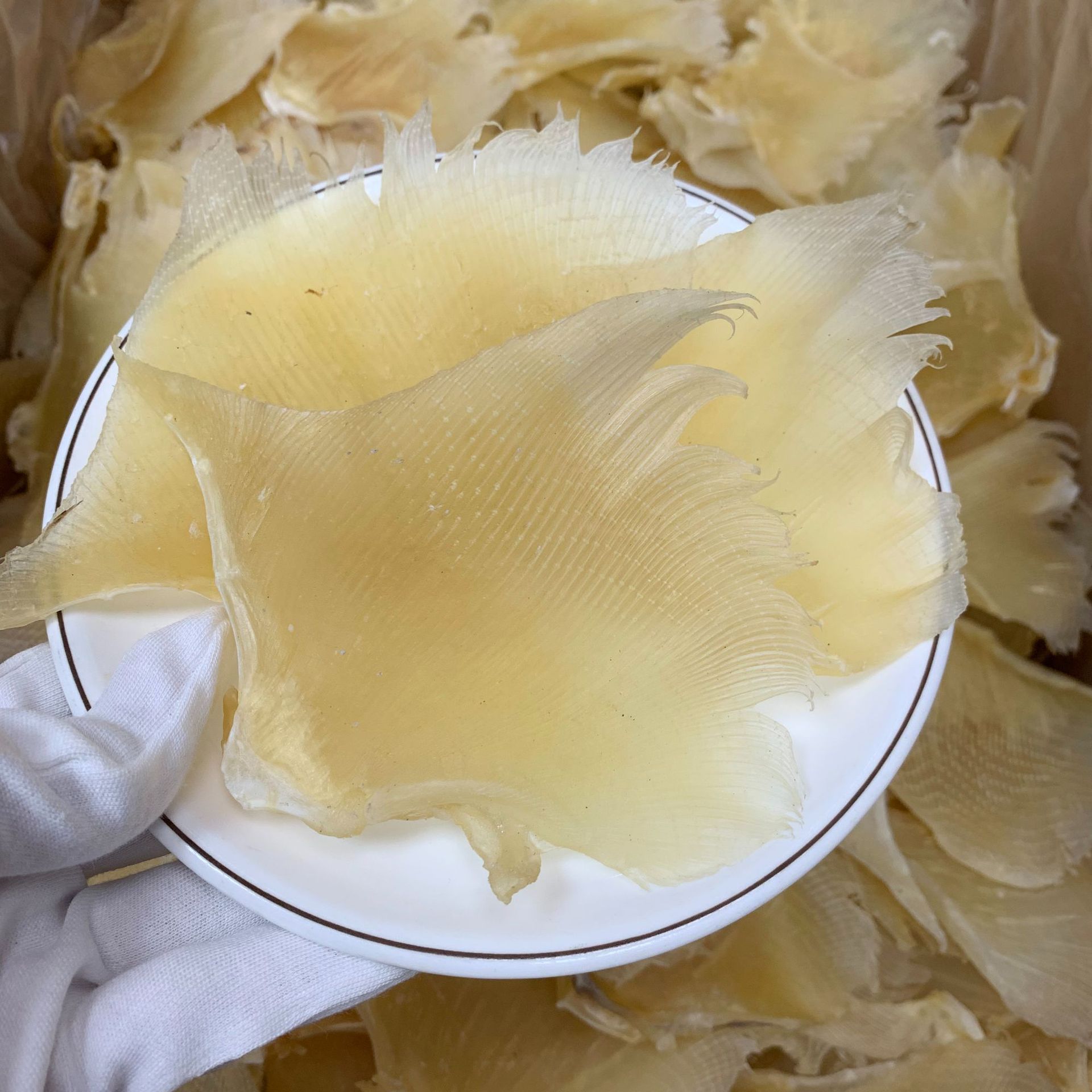 产地批发 北海鱼赤 海狗翅浦鱼翅片 佛跳墙酒店餐饮食材海味干货