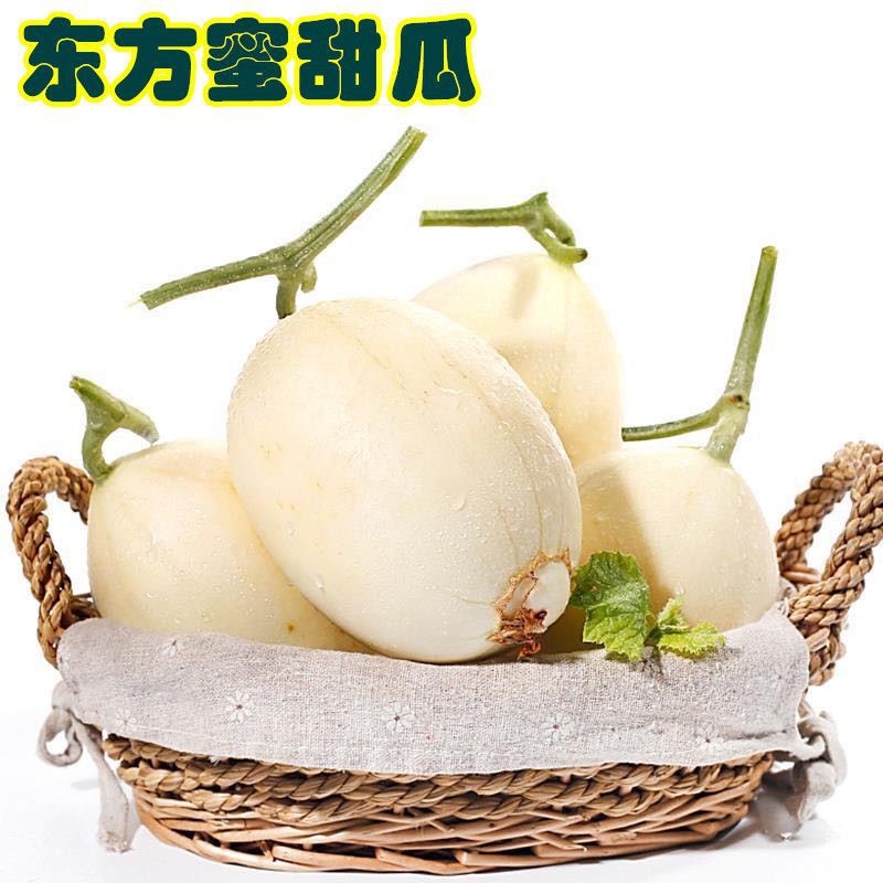 东方蜜甜瓜带箱包邮白皮红肉甜瓜水果东方蜜一号现摘非阎良甜瓜