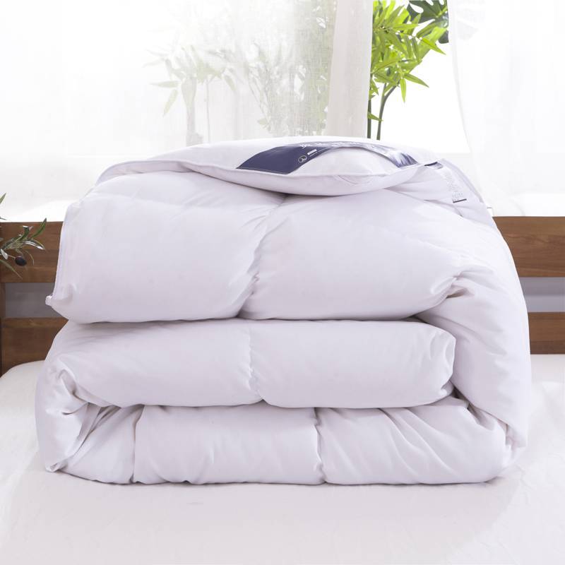 新款斜纹羽绒被羽丝被春秋被芯冬被加厚保暖单人双人学生被子冬季