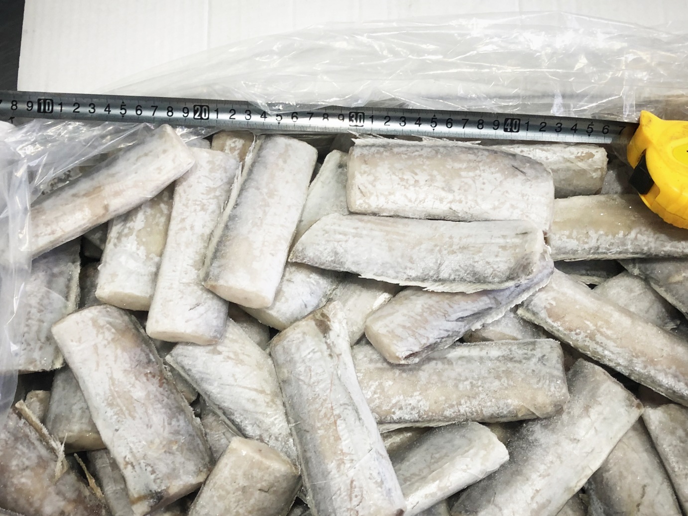 带鱼段刀鱼段中段东海小眼带鱼切段雷达网水产海鲜自助餐新鲜舟山