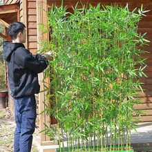 仿真竹子细水假竹子装饰室内户外隔断绿植物塑料挡墙阳台庭院造景