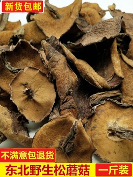 东北松蘑菇野生松蘑新鲜松树蘑菇干货粘团子松树菇松蛾子山珍500g