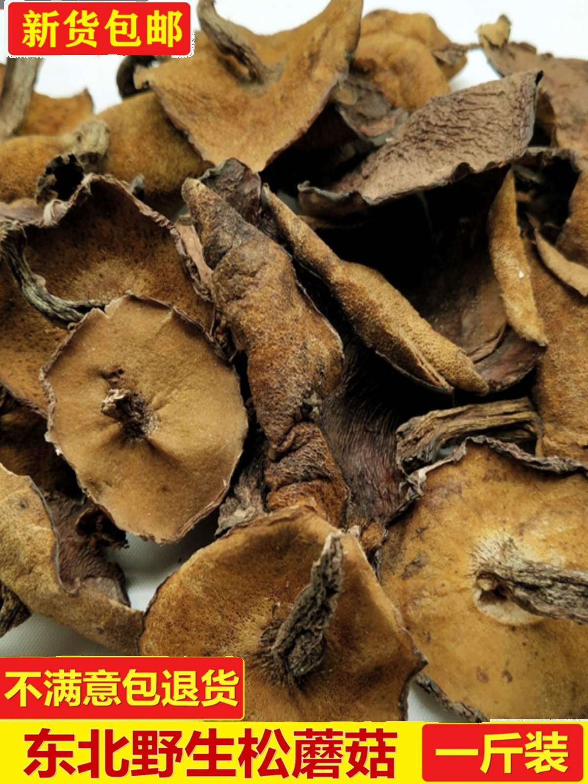 东北松蘑菇野生松蘑新鲜松树蘑菇干货粘团子松树菇松蛾子山珍500g