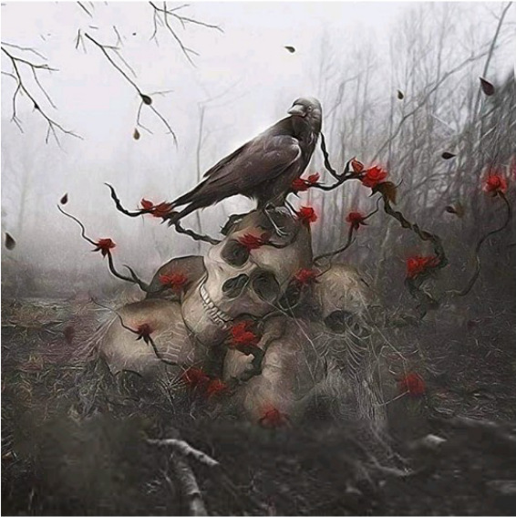 乌鸦 骷髅头 满钻 钻石画 厂家直销