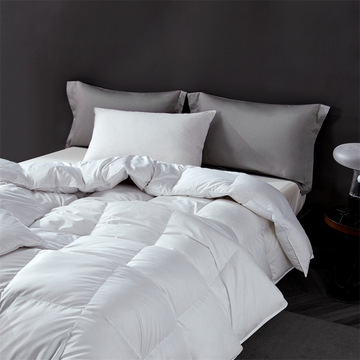 高端五星级酒店全棉羽绒被防雨布加厚冬被春秋被芯被子白鹅绒被