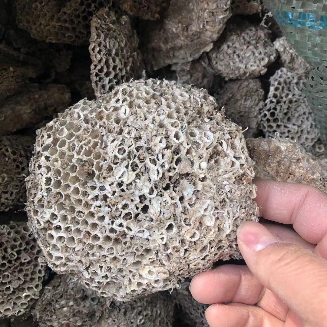 批发供应 中药材蜂房 马蜂窝 土蜂房各种规格量大价优-阿里巴巴