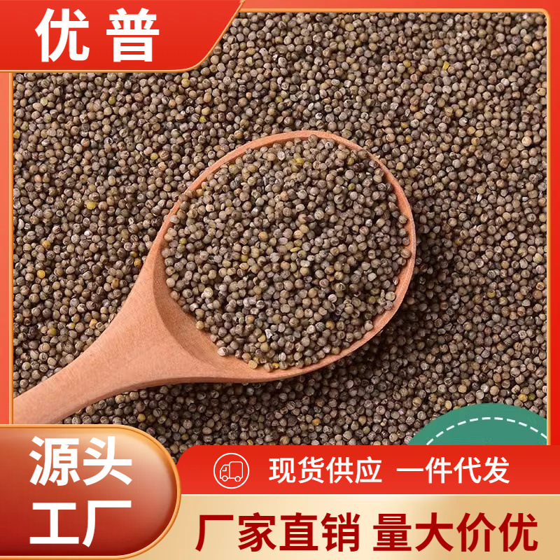 陕北米脂黑小米1斤 新米农家自产黑色小米五谷杂粮粗粮米批发