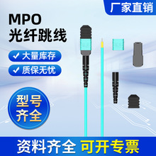 MPO12芯母头多模OM5主干光纤跳线极性B低损OFNP阻燃24芯万兆跳线