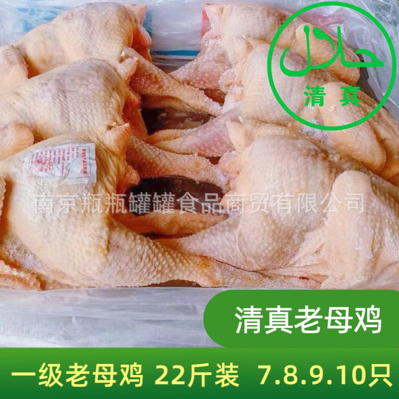 清真生鲜冷冻老母鸡22斤装可做熬汤盐焗椒麻手撕鸡Halal chicken