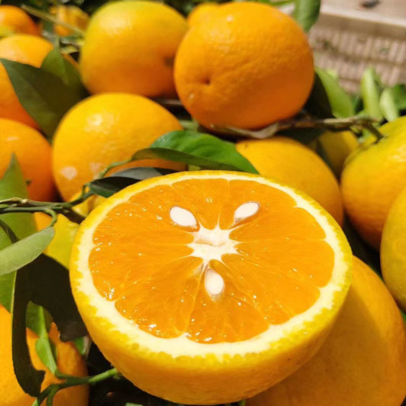 秭归夏橙新鲜水果5斤9斤一件代发鲜橙子-阿里巴巴
