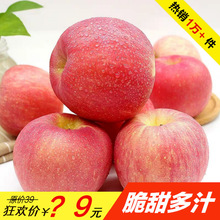 现摘陕西红富士苹果新鲜水果当季10/5斤一整箱高山丑苹果批发直供