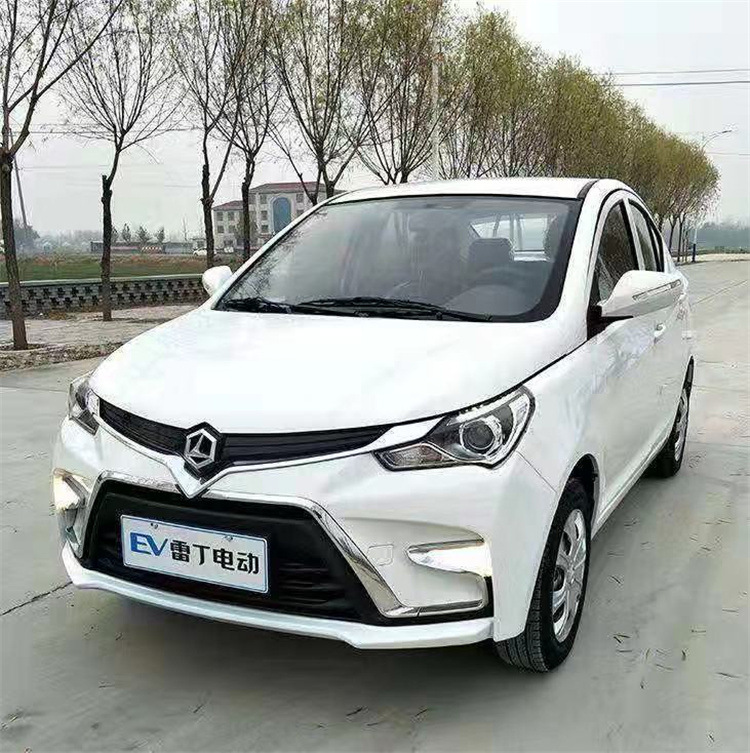 雷丁电动汽车小骑士老年人电动代步车家用四轮车成人新款油电两用