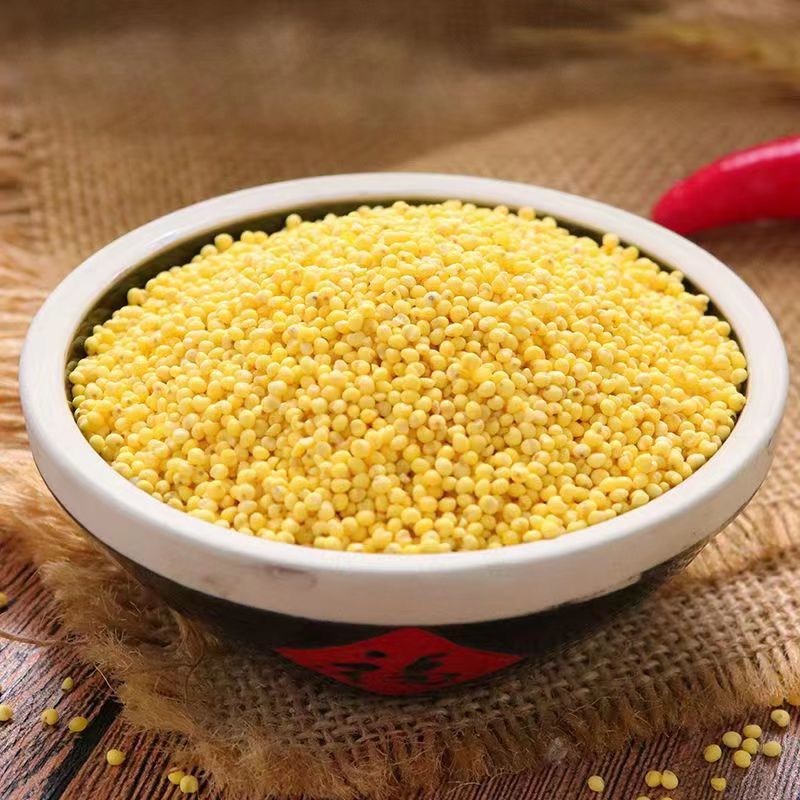 东北大黄米1斤 农家新米糯小米粘豆包粽子小米粥黏粘黄米黍米