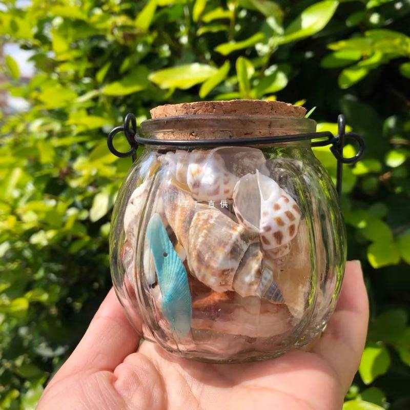 批发天然贝壳海螺手提南瓜瓶工艺品旅游海星纪念品地中海创意摆件