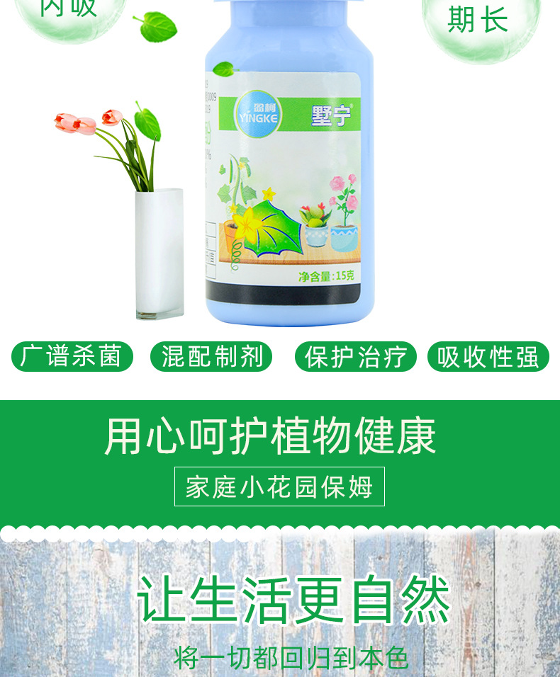 月季白粉病杀菌剂肟菌酯 乙嘧酚多肉绣球叶斑病通用型花卉杀菌药