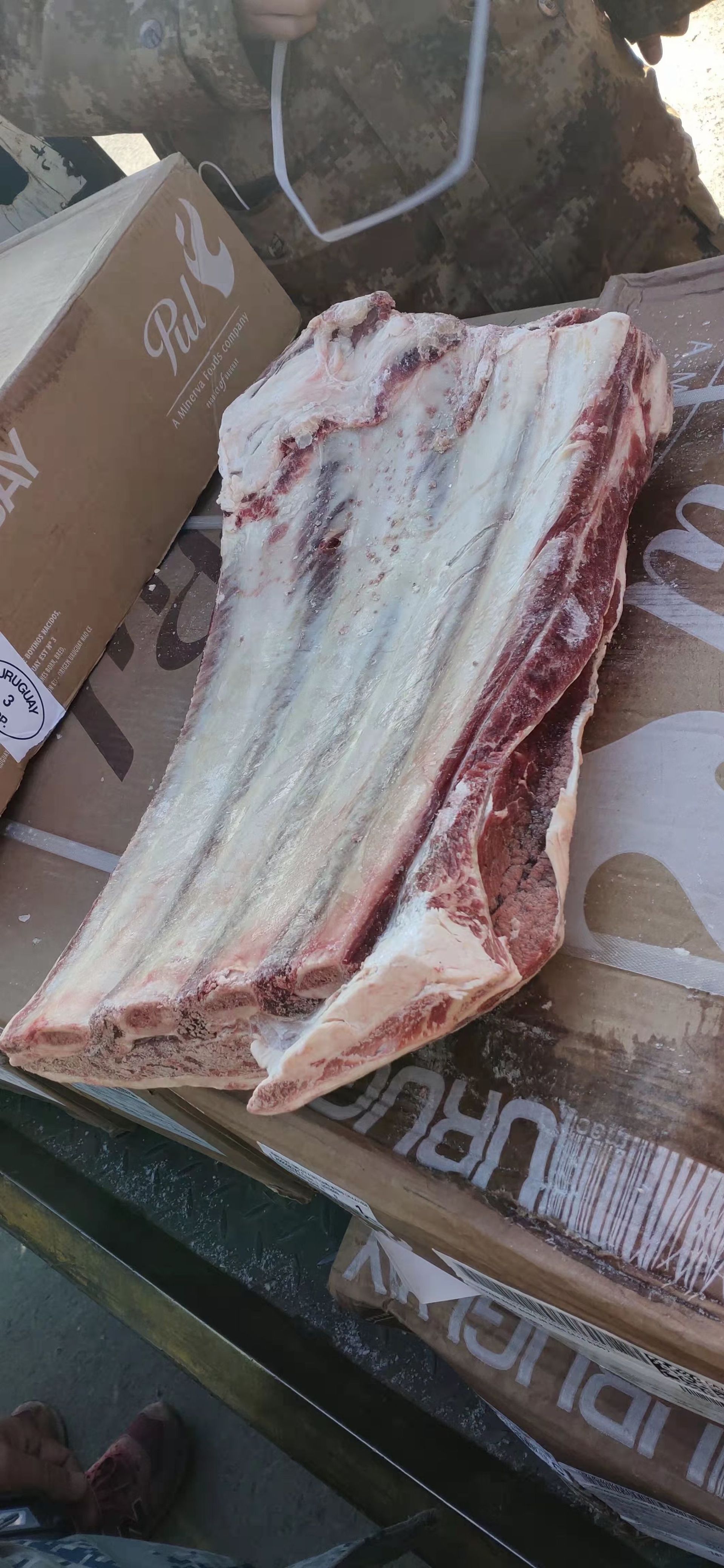 多中乌拉圭牛肋骨牛排骨烧烤酒店食材 冷冻牛肋排